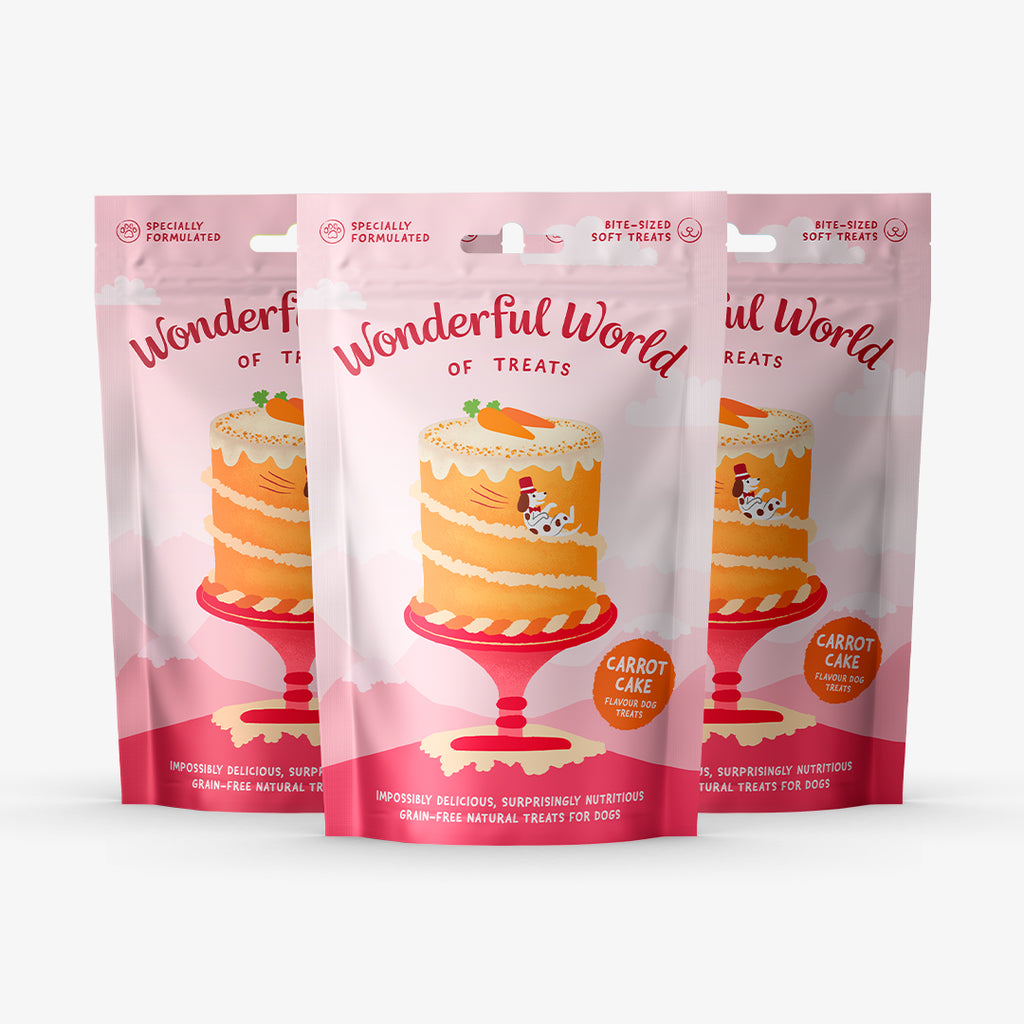 Sanck Carrot Cake 50 Gr WWOT - Pack de 3